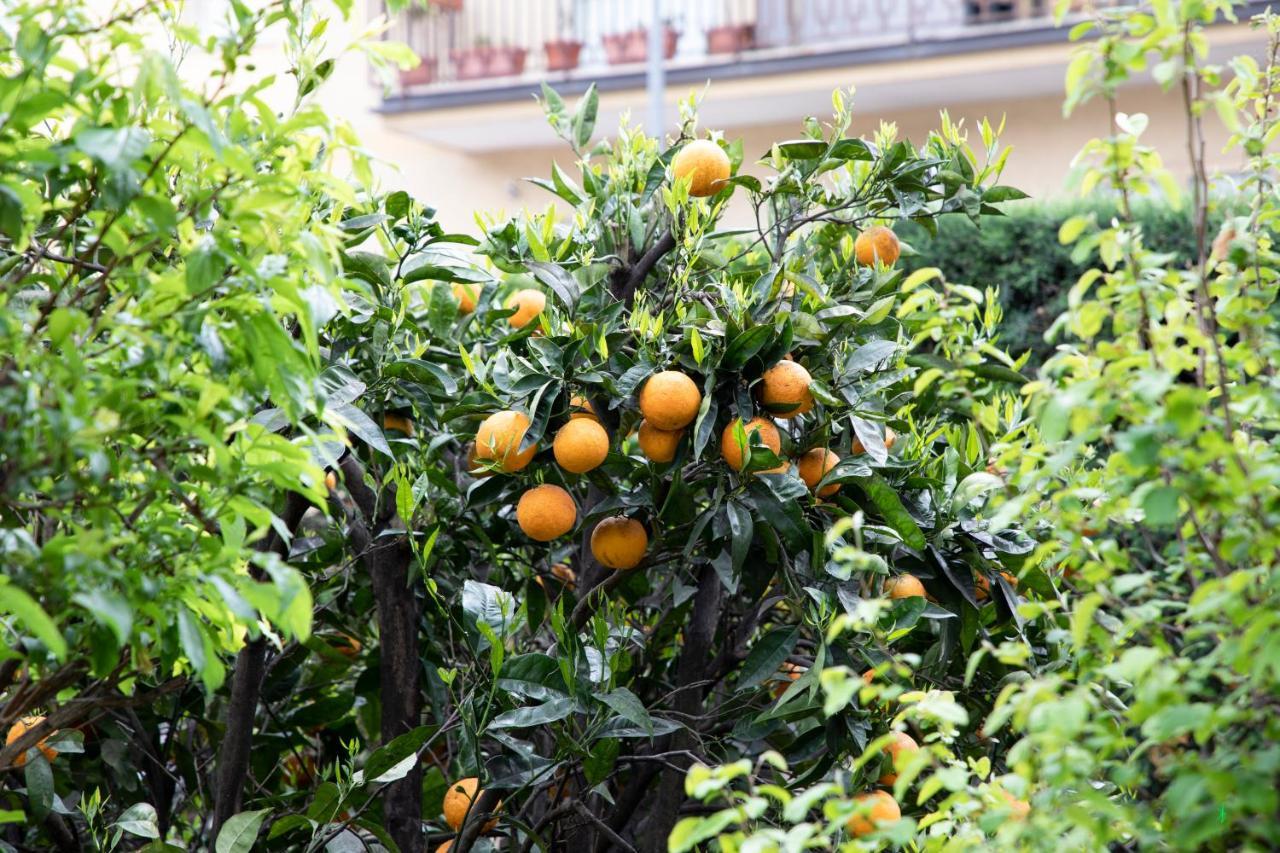 Bed and Breakfast L' Albero Di Giada Caserta Exterior foto